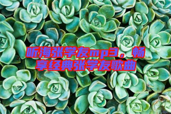 聽海張學(xué)友mp3，暢享經(jīng)典張學(xué)友歌曲