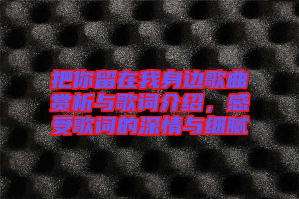 把你留在我身邊歌曲賞析與歌詞介紹，感受歌詞的深情與細膩