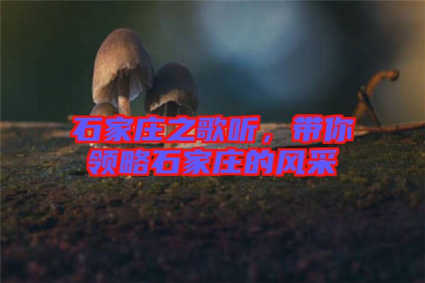 石家莊之歌聽(tīng)，帶你領(lǐng)略石家莊的風(fēng)采