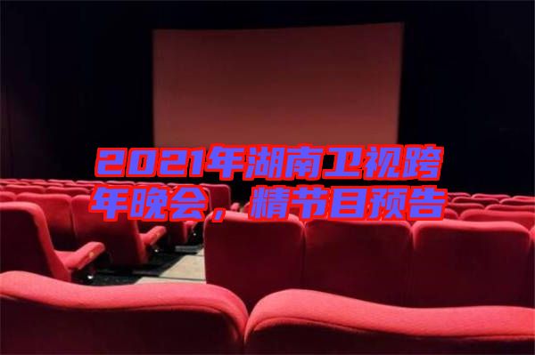 2021年湖南衛(wèi)視跨年晚會，精節(jié)目預(yù)告