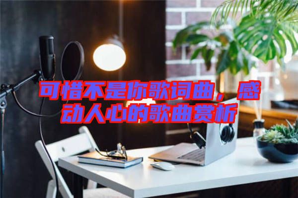 可惜不是你歌詞曲，感動(dòng)人心的歌曲賞析