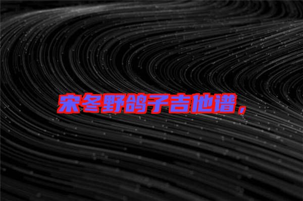 宋冬野鴿子吉他譜，