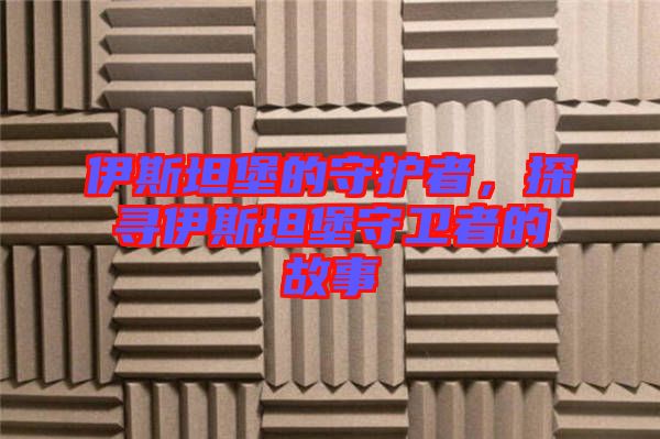伊斯坦堡的守護(hù)者，探尋伊斯坦堡守衛(wèi)者的故事