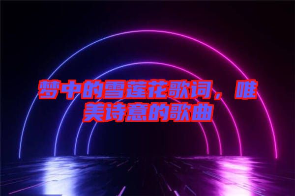 夢中的雪蓮花歌詞，唯美詩意的歌曲