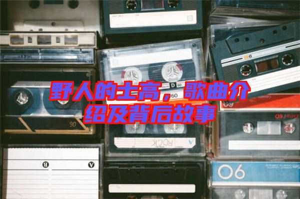 野人的士高，歌曲介紹及背后故事