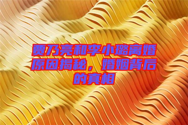 賈乃亮和李小璐離婚原因揭秘，婚姻背后的真相