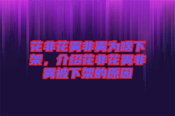 花非花霧非霧為啥下架，介紹花非花霧非霧被下架的原因