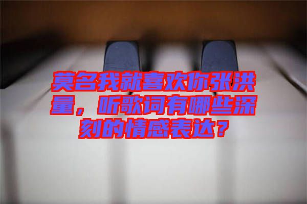 莫名我就喜歡你張洪量，聽歌詞有哪些深刻的情感表達(dá)？