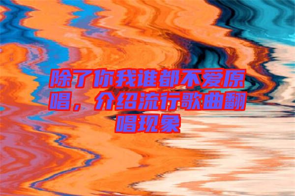 除了你我誰都不愛原唱，介紹流行歌曲翻唱現(xiàn)象