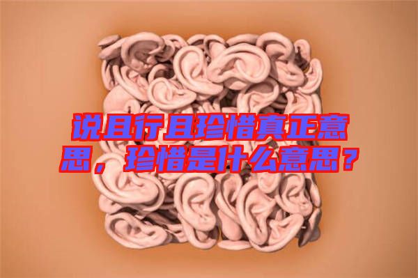 說且行且珍惜真正意思，珍惜是什么意思？