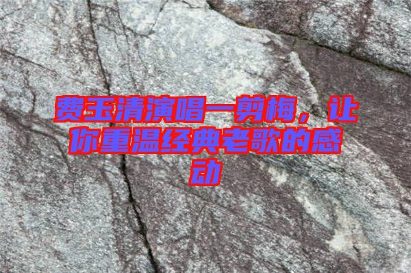 費玉清演唱一剪梅，讓你重溫經典老歌的感動
