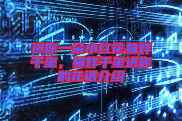 送你一朵小紅花易烊千璽，易烊千璽送你的花語介紹