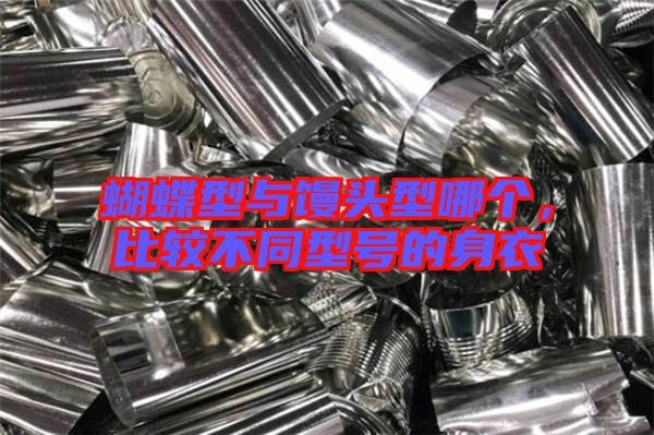 蝴蝶型與饅頭型哪個，比較不同型號的身衣