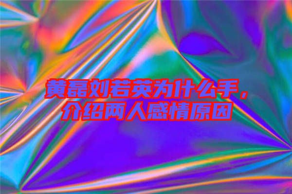 黃磊劉若英為什么手，介紹兩人感情原因