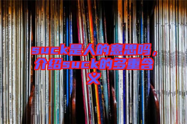 suck是人的意思嗎，介紹suck的多重含義
