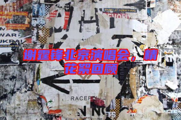 謝霆鋒北京演唱會，精花絮回顧