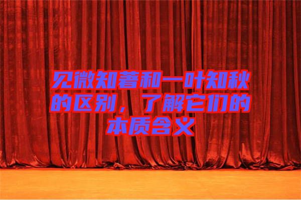 見微知著和一葉知秋的區(qū)別，了解它們的本質(zhì)含義