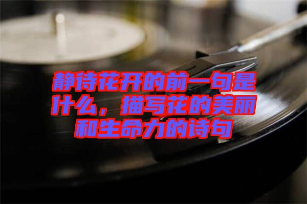 靜待花開的前一句是什么，描寫花的美麗和生命力的詩句