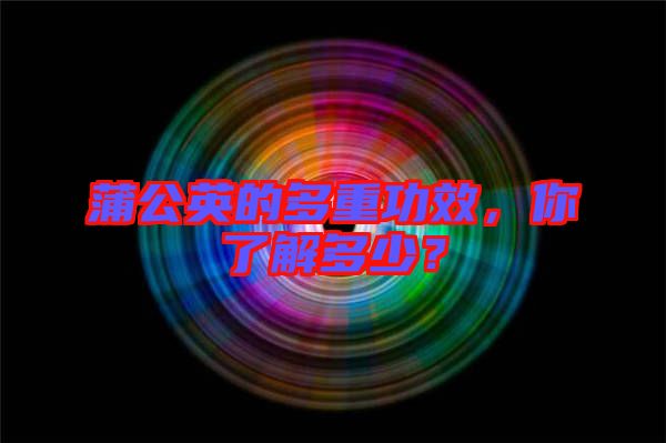 蒲公英的多重功效，你了解多少？