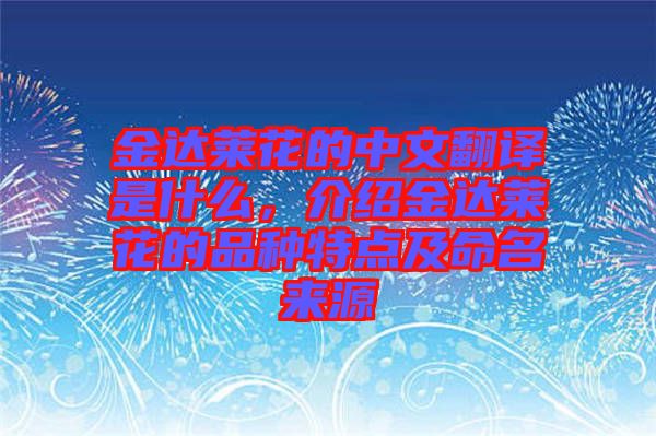 金達(dá)萊花的中文翻譯是什么，介紹金達(dá)萊花的品種特點(diǎn)及命名來源