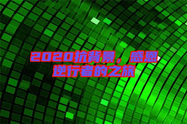 2020抗背景，感恩逆行者的之旅