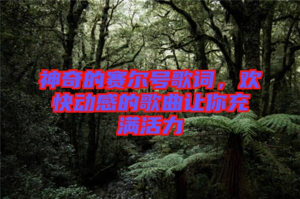 神奇的賽爾號(hào)歌詞，歡快動(dòng)感的歌曲讓你充滿(mǎn)活力