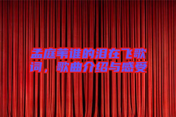 孟庭葦誰的淚在飛歌詞，歌曲介紹與感受