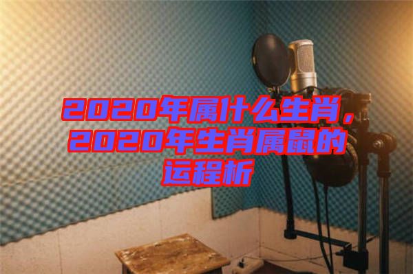 2020年屬什么生肖，2020年生肖屬鼠的運程析