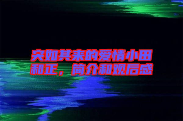 突如其來的愛情小田和正，簡介和觀后感