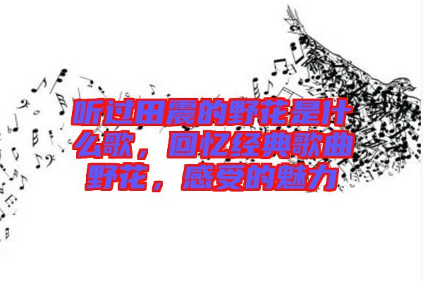聽過田震的野花是什么歌，回憶經(jīng)典歌曲野花，感受的魅力