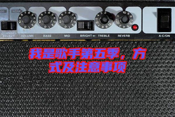 我是歌手第五季，方式及注意事項