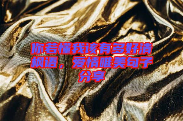 你若懂我該有多好清楓語(yǔ)，愛(ài)情唯美句子分享