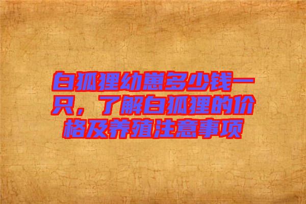 白狐貍幼崽多少錢一只，了解白狐貍的價(jià)格及養(yǎng)殖注意事項(xiàng)