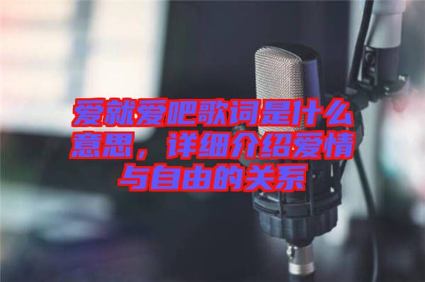 愛就愛吧歌詞是什么意思，詳細介紹愛情與自由的關(guān)系