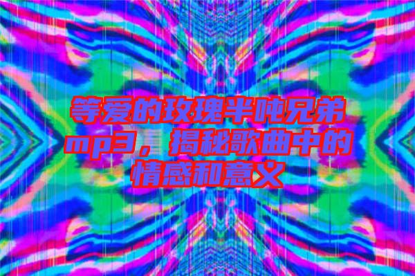 等愛(ài)的玫瑰半噸兄弟mp3，揭秘歌曲中的情感和意義