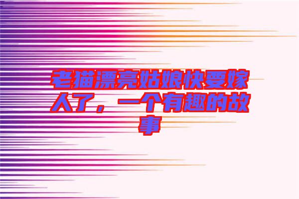 老貓漂亮姑娘快要嫁人了，一個有趣的故事