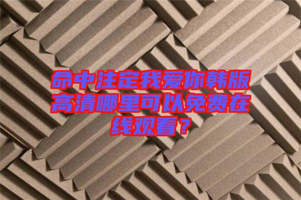命中注定我愛你韓版高清哪里可以免費(fèi)在線觀看？
