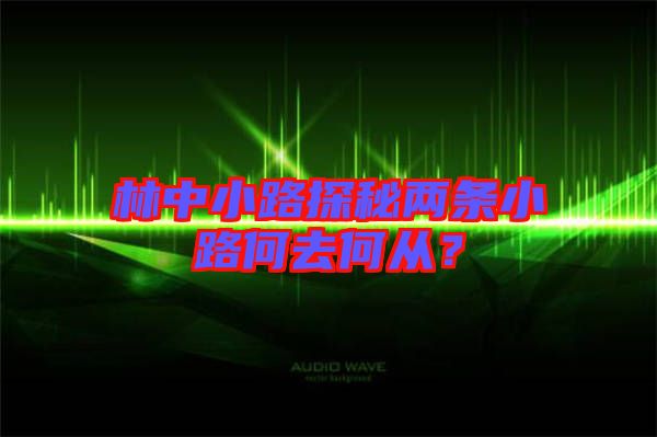 林中小路探秘兩條小路何去何從？