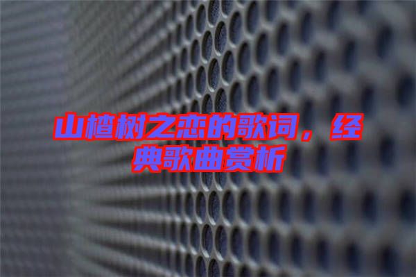 山楂樹之戀的歌詞，經(jīng)典歌曲賞析