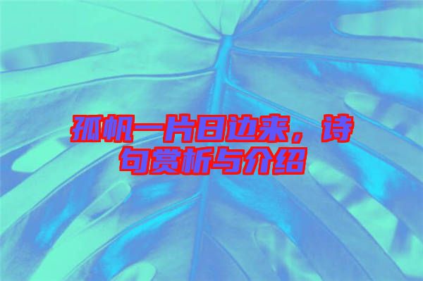 孤帆一片日邊來(lái)，詩(shī)句賞析與介紹