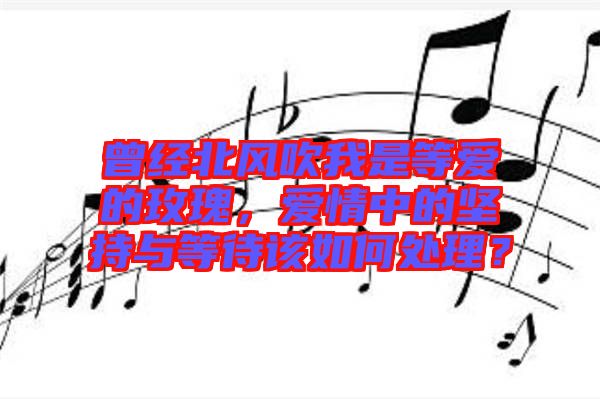 曾經(jīng)北風(fēng)吹我是等愛的玫瑰，愛情中的堅(jiān)持與等待該如何處理？