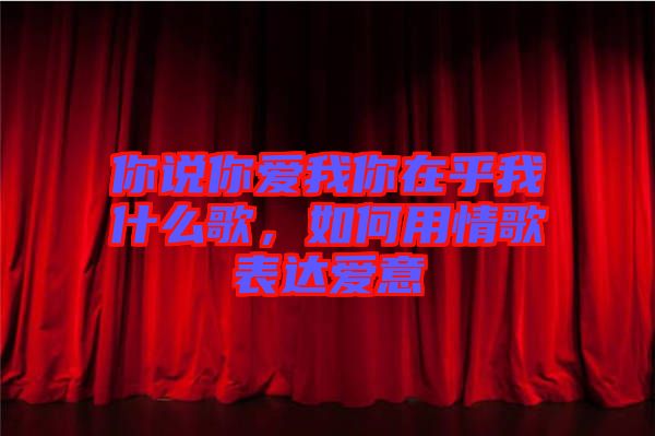 你說你愛我你在乎我什么歌，如何用情歌表達(dá)愛意
