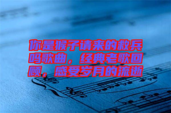 你是猴子請來的救兵嗎歌曲，經(jīng)典老歌回顧，感受歲月的流逝