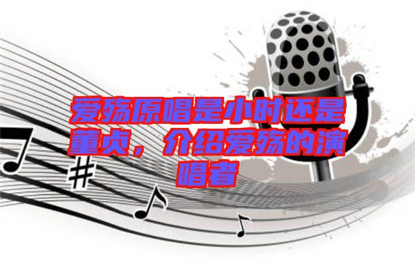 愛(ài)殤原唱是小時(shí)還是董貞，介紹愛(ài)殤的演唱者