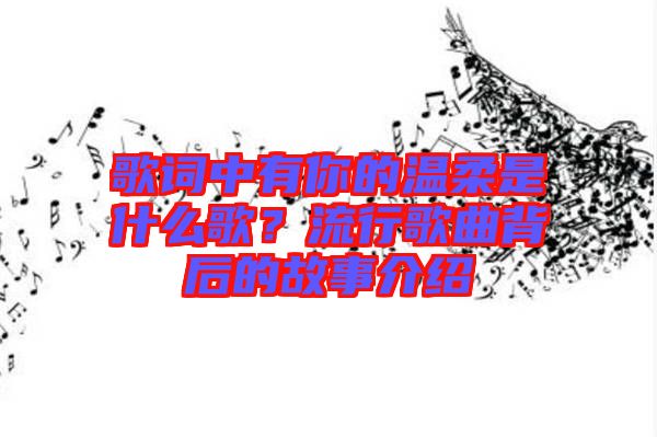 歌詞中有你的溫柔是什么歌？流行歌曲背后的故事介紹