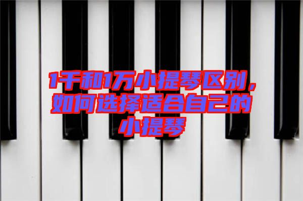 1千和1萬小提琴區(qū)別，如何選擇適合自己的小提琴