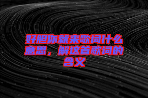好膽你就來(lái)歌詞什么意思，解這首歌詞的含義