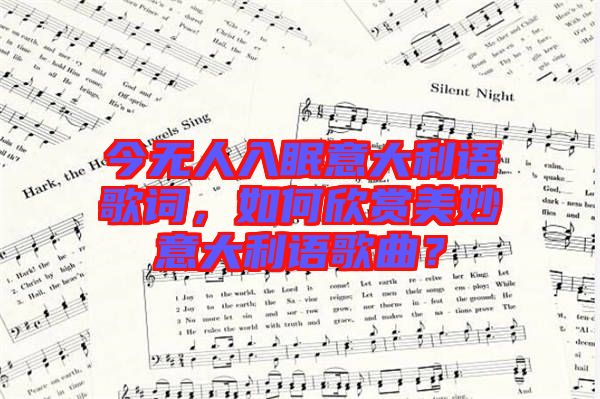 今無人入眠意大利語歌詞，如何欣賞美妙意大利語歌曲？