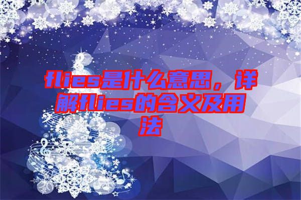 flies是什么意思，詳解flies的含義及用法