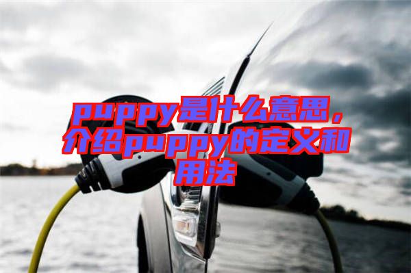 puppy是什么意思，介紹puppy的定義和用法